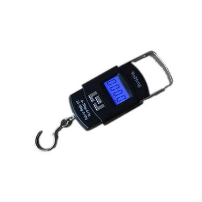 Portable Digital Weighing Hook image 1