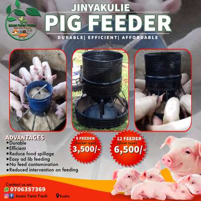 pig feeder image 6