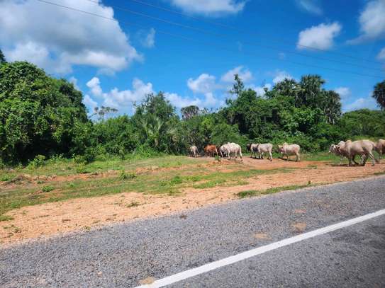 700 acres for sale in Lamu image 2