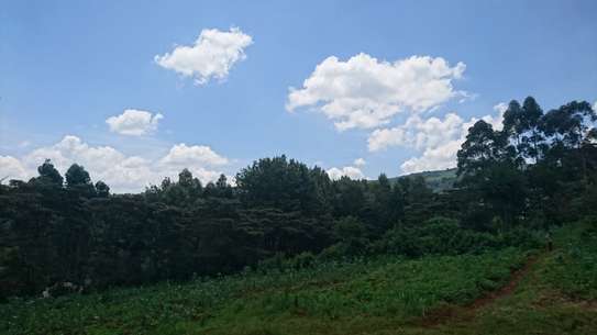 Land at Kahara Road image 20