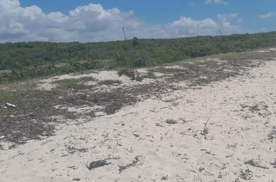 10 Acres Of Beach Plots Facing The Sea In Kwale Are For Sale image 1