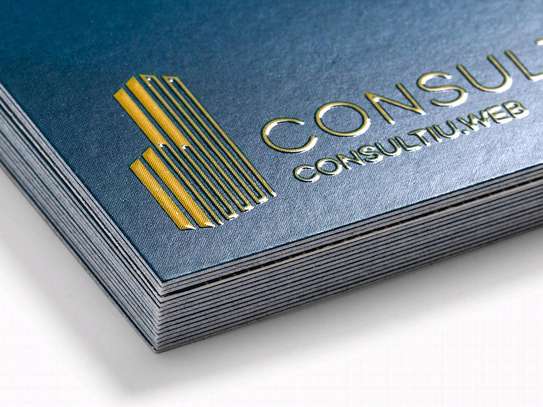 EMBOSSED AND BRAILLE BUSINESS CARDS PRINTING image 1