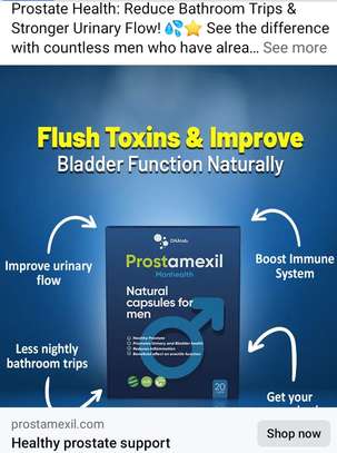 Prostamexil Improves The Work Of The Prostate image 2