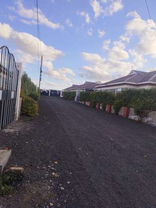 4 Bed House with En Suite at Milimani image 15