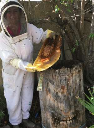 Live Bee Removal Services-WE SAVE BEES! image 4