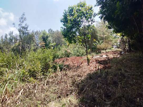 Residential Land at Fronting Limuru Road image 8