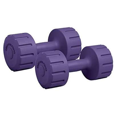 TWO PIECES DUMBBELL GYMWEIGHT VINYL SHAPE image 3