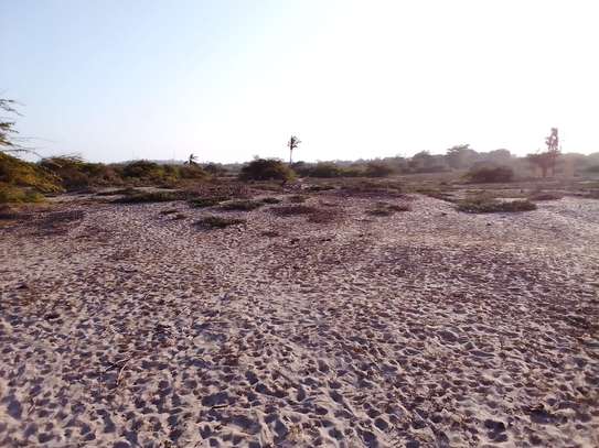 6 Acres beachfront land  for sale in Mambrui,Malindi image 7