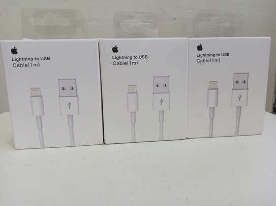 Apple Lightning to USB Cable 1 metre image 2
