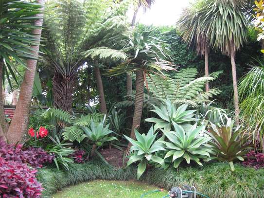 Garden Maintenance Service | Bestcare Gardening Service | Landscaping & Gardening Services in Nairobi.Contact Us image 7