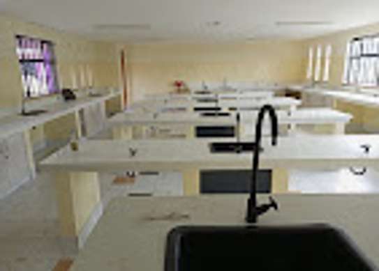 School laboratories construction and fitting. image 1
