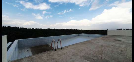 4 Bed Apartment with En Suite in Spring Valley image 20