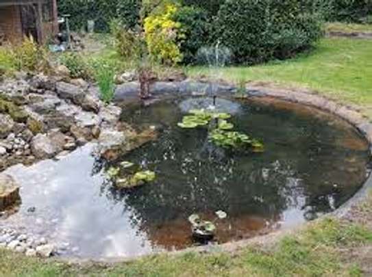 Water feature installation/Pond Installation/Pond Cleaning image 8