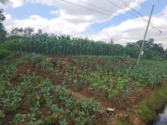 Land in Ridgeways image 1