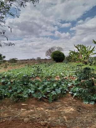 30 acres of land for sale in Makindu Makueni County image 3
