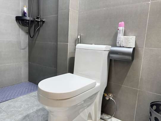 Furnished 3 Bed Apartment with En Suite in Riverside image 14