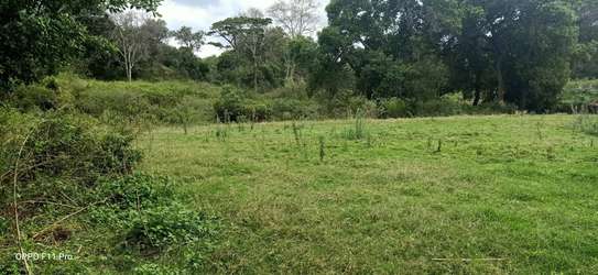 BEAUTIFUL 3 ACRES LAND FOR SALE IN TIMAU image 4