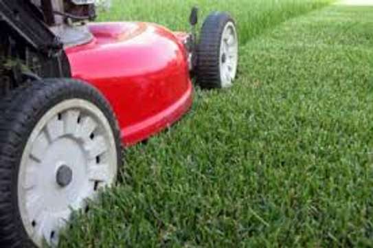 Lawn Mowing & landscaping services in Nakuru image 2