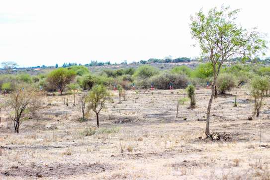 50 BY 100 PLOTS FOR SALE IN ATHI RIVER KINANIE @800K image 3