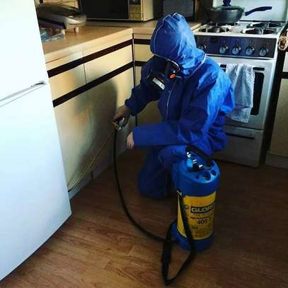 Fumigation and Pest Control Services Lakisama image 2