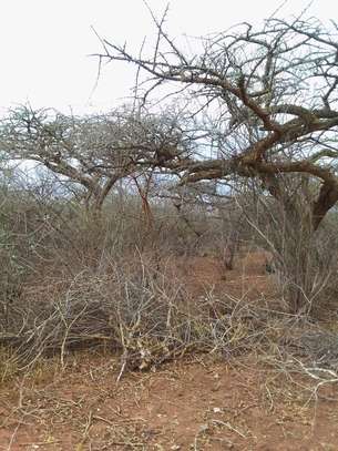 50 acres near ikoyo primary school makindu makueni county image 2