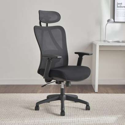 Office Chair: Good Posture Orthopedic High Mesh Back Chair image 1