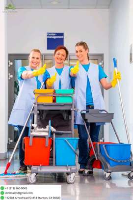 Cleaning company image 1