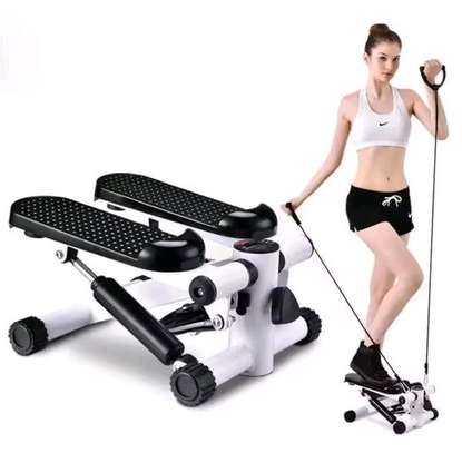 Mini stepper image 1