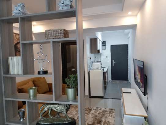 Serviced Studio Apartment with En Suite at Gitanga Rd image 10