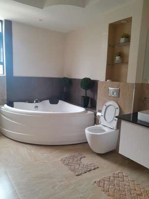 Furnished 3 Bed Apartment with En Suite at Riverside image 8