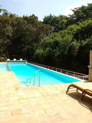 3 Bed Villa with Swimming Pool at Riverside Park image 11