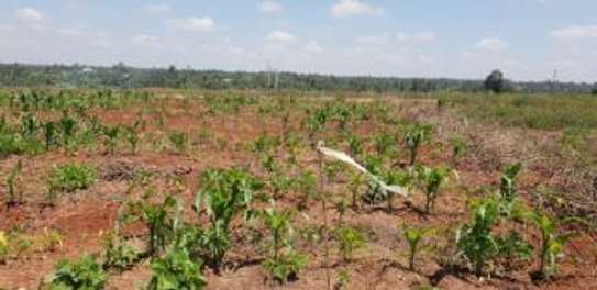 1/8 Acre Fully Serviced Plots Thika Greens Golf Resort image 1
