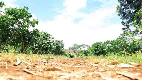 Land at Gatanga Road image 5
