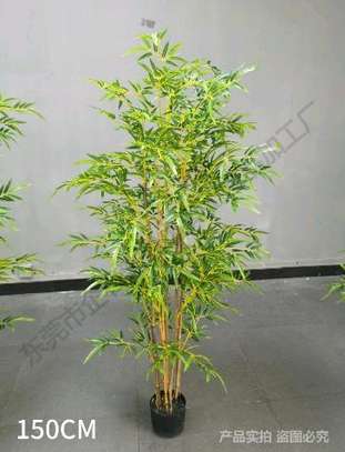 Artifical Bamboo plant image 1
