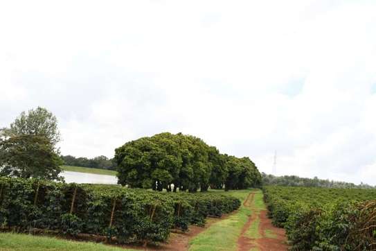 Land at Juja - Gatundu Road image 10