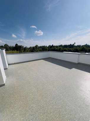 5 Bed House in Kikuyu Town image 46