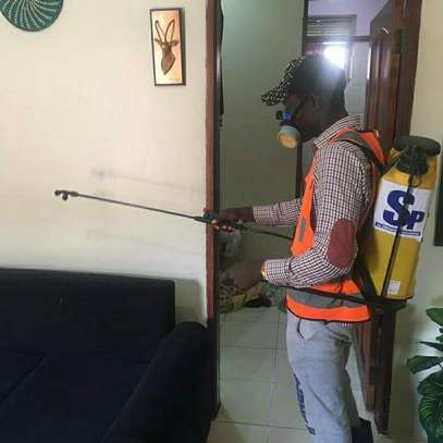 sofa cleaning and fumigation services image 6