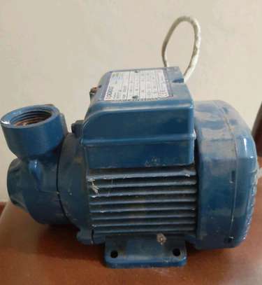 Pedrollo water pump image 1