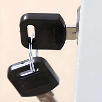 Office Cabinet: Glass Doors Documents Cabinet image 2