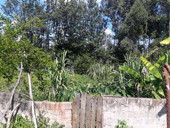 QUIK SALE: 5 Bedroom Thome / Garden Estate House image 9