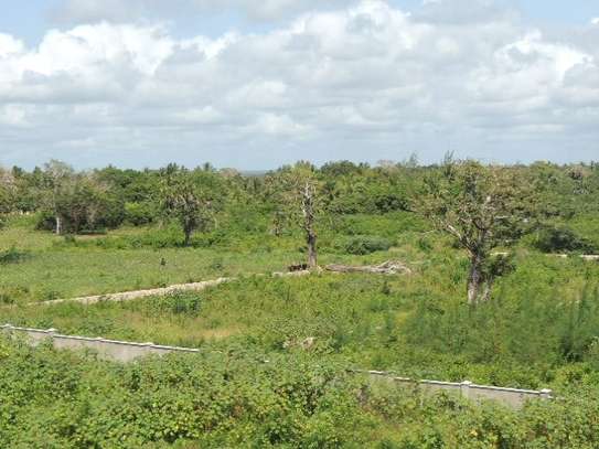 1,012 m² Residential Land at Diani Beach Road image 22