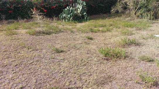 Residential Land at Pipeline Road image 5