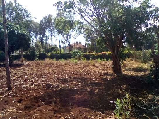 0.5-Acre Plot For Sale in Kugeria Estate image 7