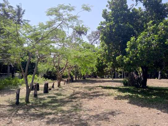 12 Acres of Front Row Beach Plot in Kwale Is For Sale image 5