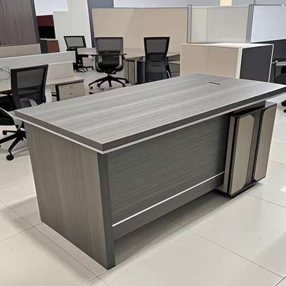 Office Desk: 1200MM Executive Office Desk image 1