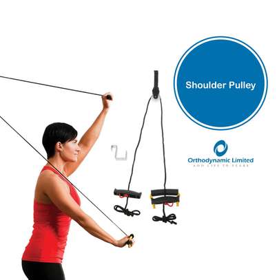 Overhead Shoulder pulley image 1