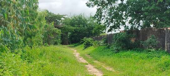 0.5 ac Commercial Land at Along Mombasa - Malindi Highway image 4