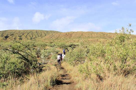 Full Day Mount Longonot Fitness Hike image 5