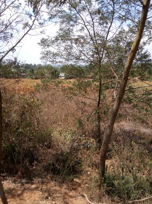 Kamangu Plot image 8