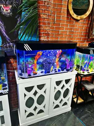 Complete setup Aquariums image 1